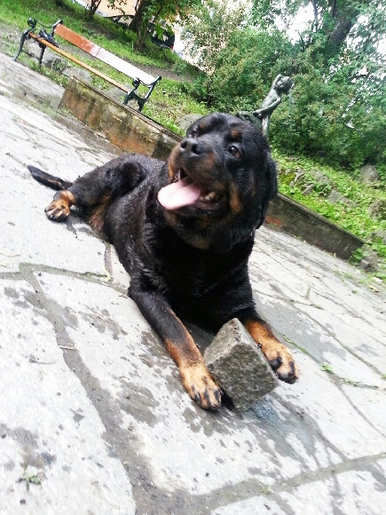 Ella, photo