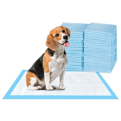 ScratchMe Super-Absorbent Waterproof Dog and Puppy Pet Training Pad, Housebreaking Pet Pad, 40-Count Medium-Size, 23.6’’X23.6’’