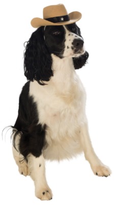Rubie's Costume Company Cowboy Hat Pet Costume Accessory