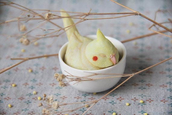Miniature Cockatiel Figurine Sleep in Teacup. Handmade Resin | Etsy