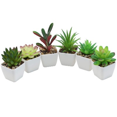 Nubry Mini Fake Succulent Plants Artificial Plastic Succulents Potted Faux Assorted Plants for Home Office Table Decoration, Set of 6 (White Plastic Pots)