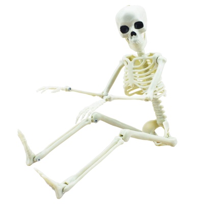 Posable Skeleton Decor