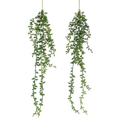 x2 Artificial Hanging Succulent Plants