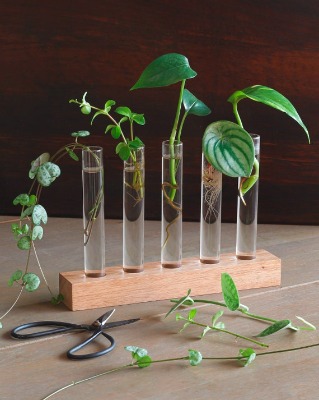 Plant cutting station