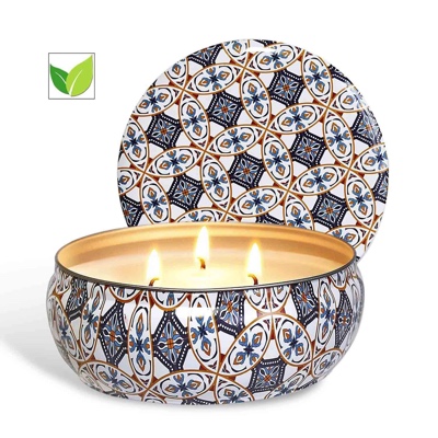 Coffret cadeau de bougie à la citronnelle Bougie en cire de soja naturelle, 14 oz, durée de combustion de 25 à 30 heures, bougie à la citronnelle en plein air Jardin intérieur Voyage Camping (set2)