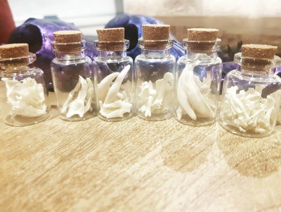 Lucky Dip Mystery GLOW Bottles  Fox Teeth Cat Teeth Rat | Etsy Australia