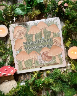 "Magnificent Mushrooms" 2023 Calendar