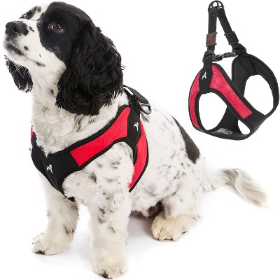 Gooby Escape Free Easy Fit Harness - No Pull Step-in Patented Small Dog Harness with Quick Release Buckle - On The Go No Pull Harness for Small Dogs or Medium Dog Harness for Indoor and Outdoor Use