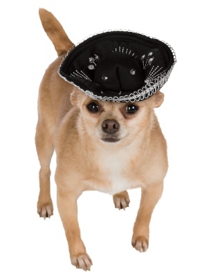 Rubies Costume Co Halloween Classics Collection Pet Costume, Medium/Large, Black and Silver Sombrero