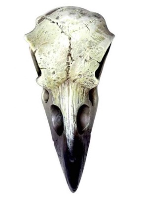 Reliquary Raven Skull - Skull