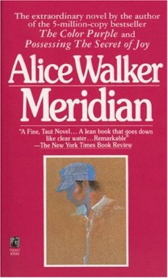 Meridian by Walker, Alice: Good Mass Market Paperback (1990) | Your Online Bookstore