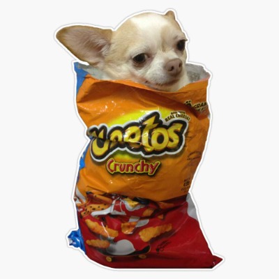 Crunch Doge Sticker Vinyl Waterproof Sticker Decal Car Laptop Wall Window Bumper Sticker 5"