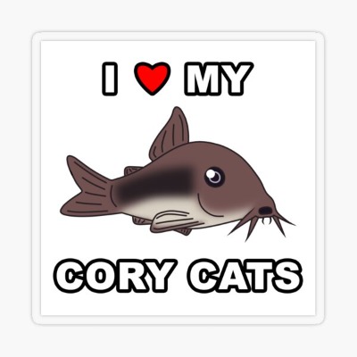 I Love My Bronze Cory Catfish Sticker by KiskaAgina