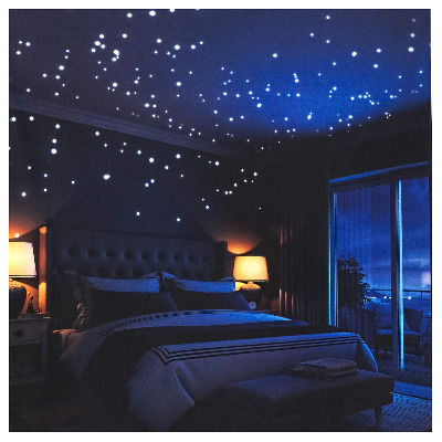 Glow in The Dark Stars Wall Stickers,252 Adhesive Dots and Moon for Starry Sky, Galaxy Decor Bright and Realistic for Any Room by LIDERSTAR (Constellation)