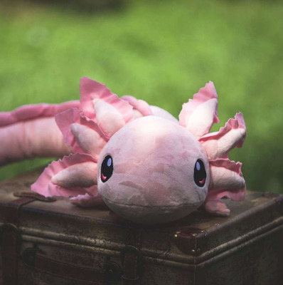 Realistic Weighted Axolotl Plush  4 Lbs Portion Donated to | Etsy