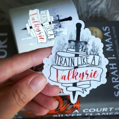 Train Like A Valkyrie A Court of Silver Flames Nesta and | Etsy New Zealand