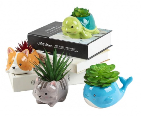 cute succulent planters!