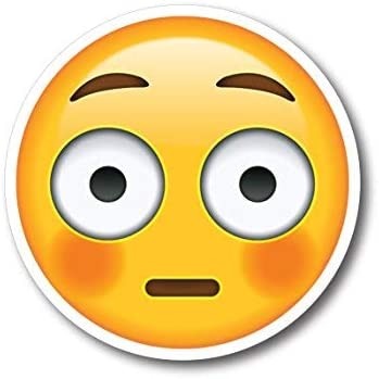 Sly's Secret Mission