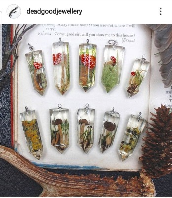 Real Mushroom Fly Agaric and Moss Non Toxic Bio Resin Necklace | Etsy