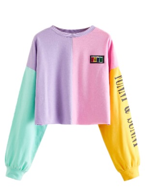 SweatyRocks Women's Letter Print Color Block Crop Sweatshirt Long Sleeve Pullover Tops