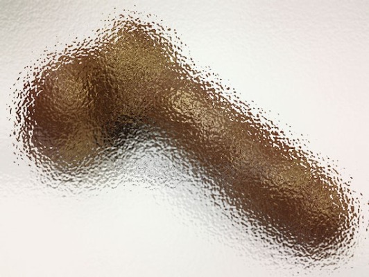 Giant Chocolate Penis Life Sized Solid 9 Oz Gift Boxed With | Etsy Australia