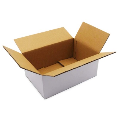 Cardboard Shipping Box, Pack of 25, 9x6x4 Inch, Recyclable Corrugated Literature Box Mailers - White