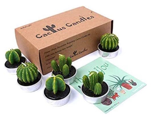  Succulent Candles Cactus