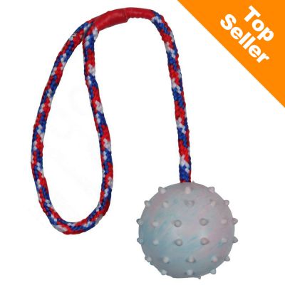 Chuckit! Ultra Ball | zooplus.no