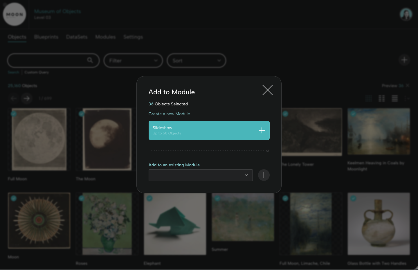 Add Selected Objects to a Module
