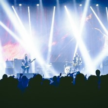 Elvis - Viva Las Vegas