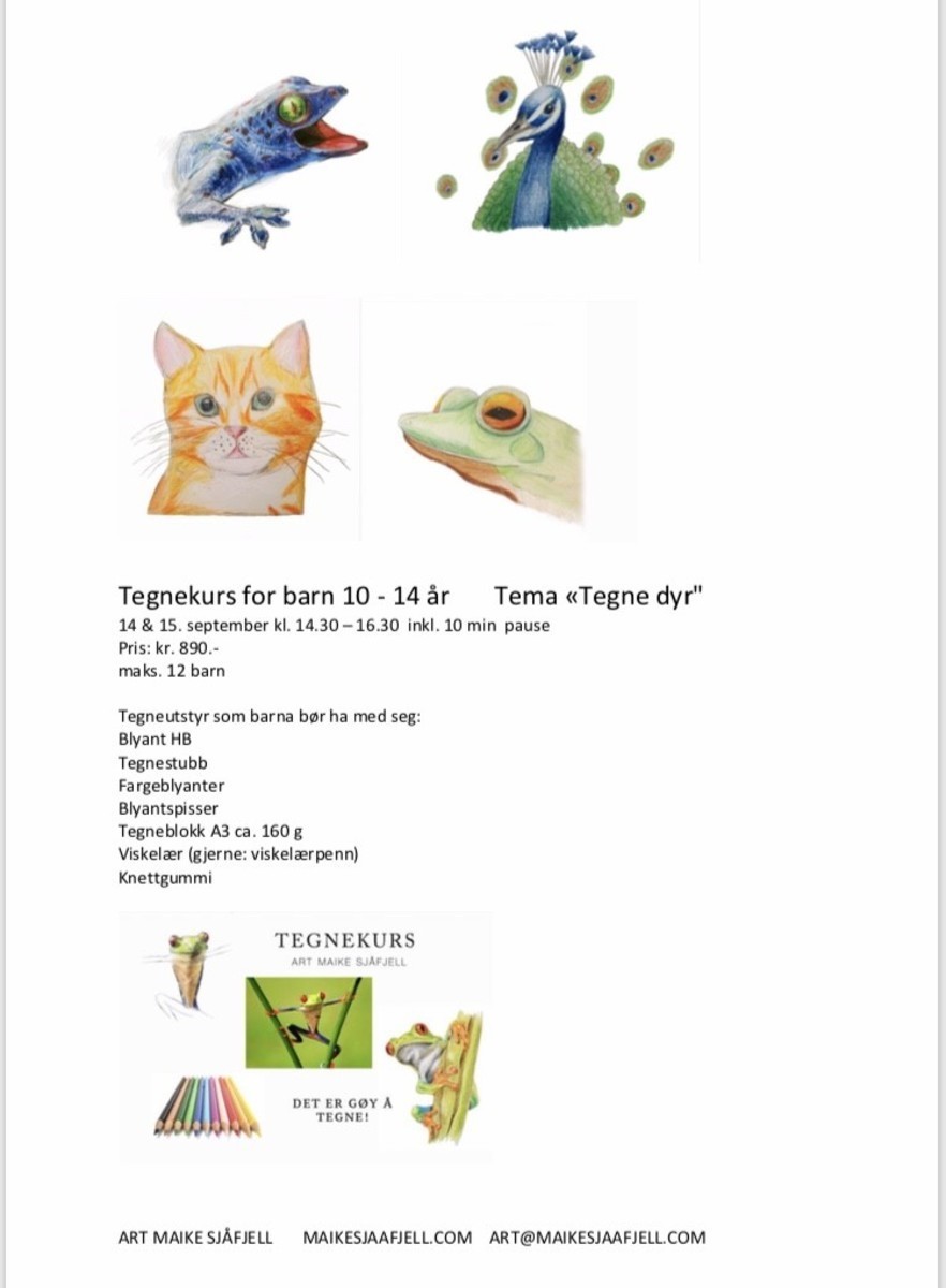 Tegnekurs for barn mellom 10 og 14 år