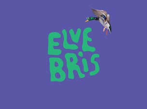 Fredagspass – Elvebris 2022