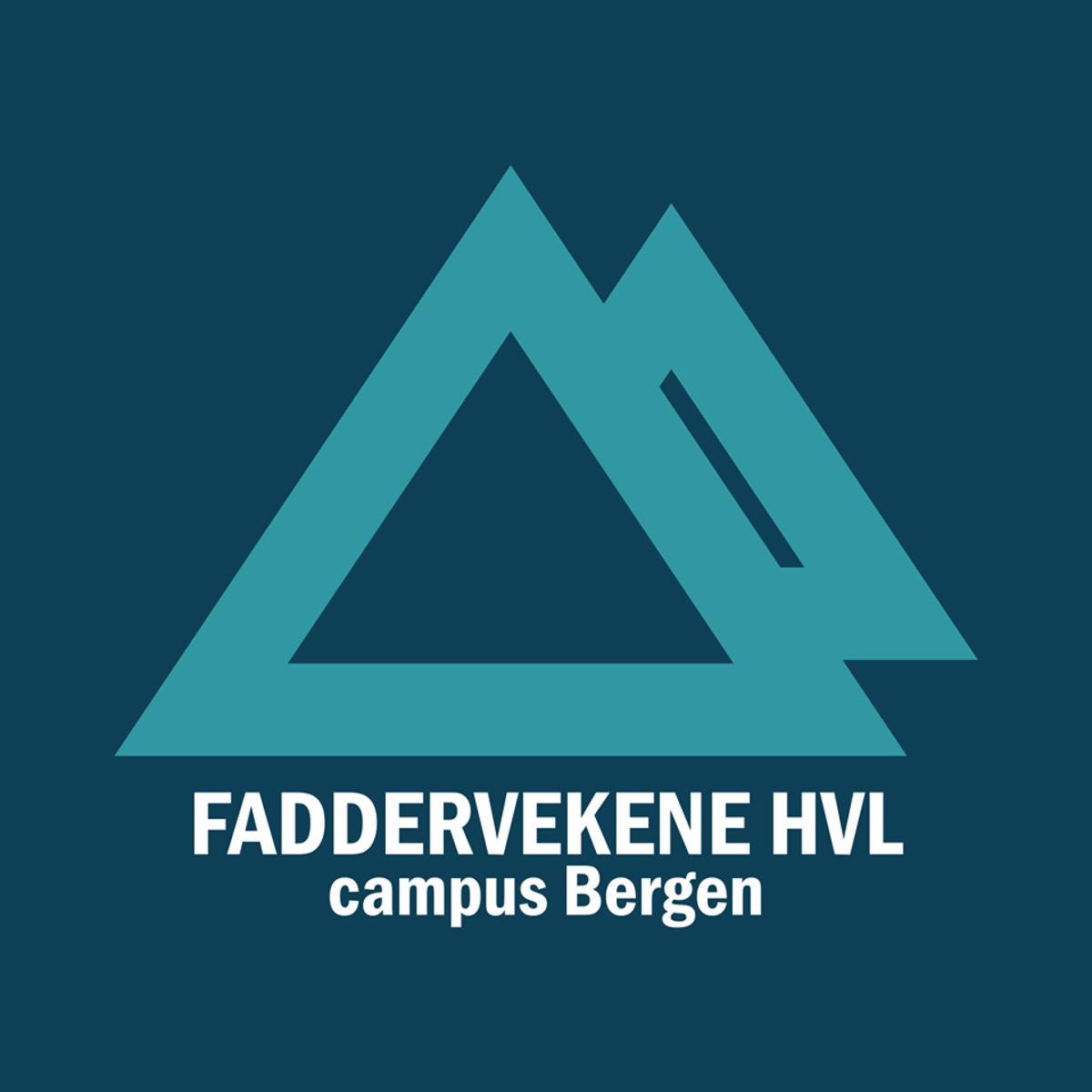 Billettpakke Faddervekene HVL Bergen 2019