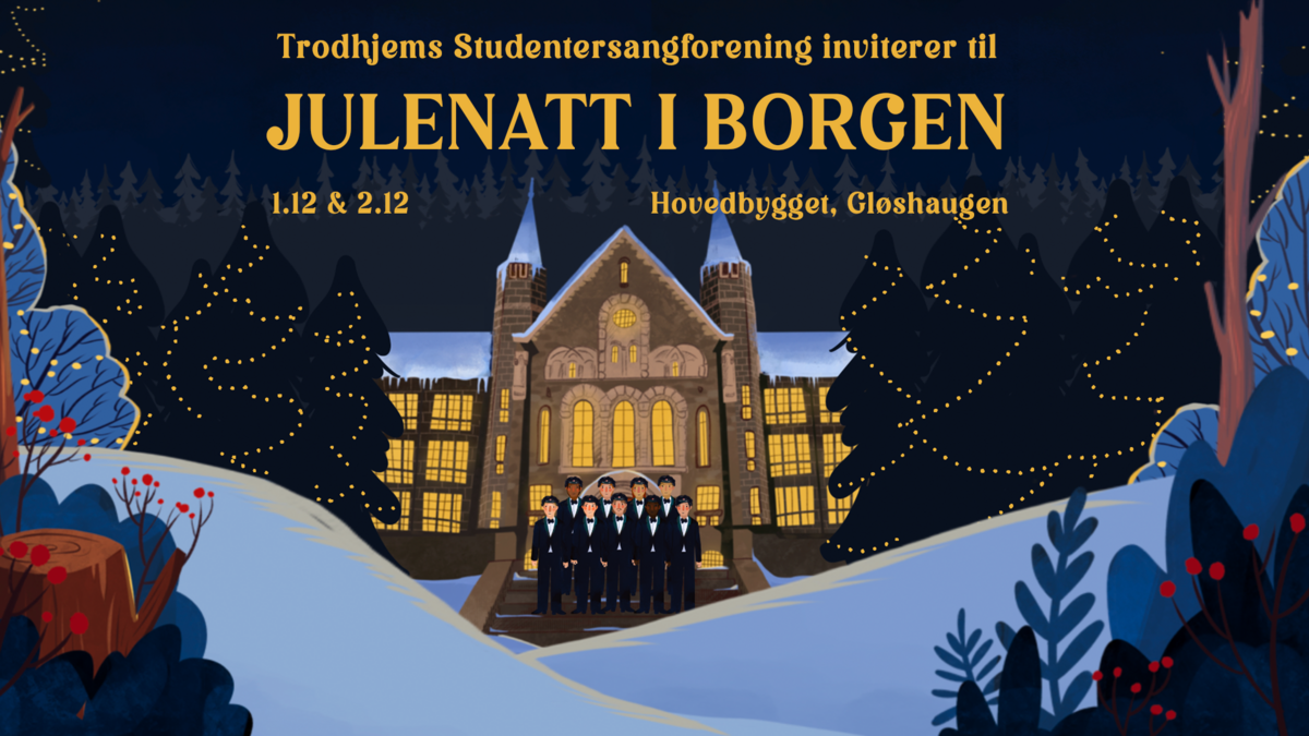 Julenatt i Borgen