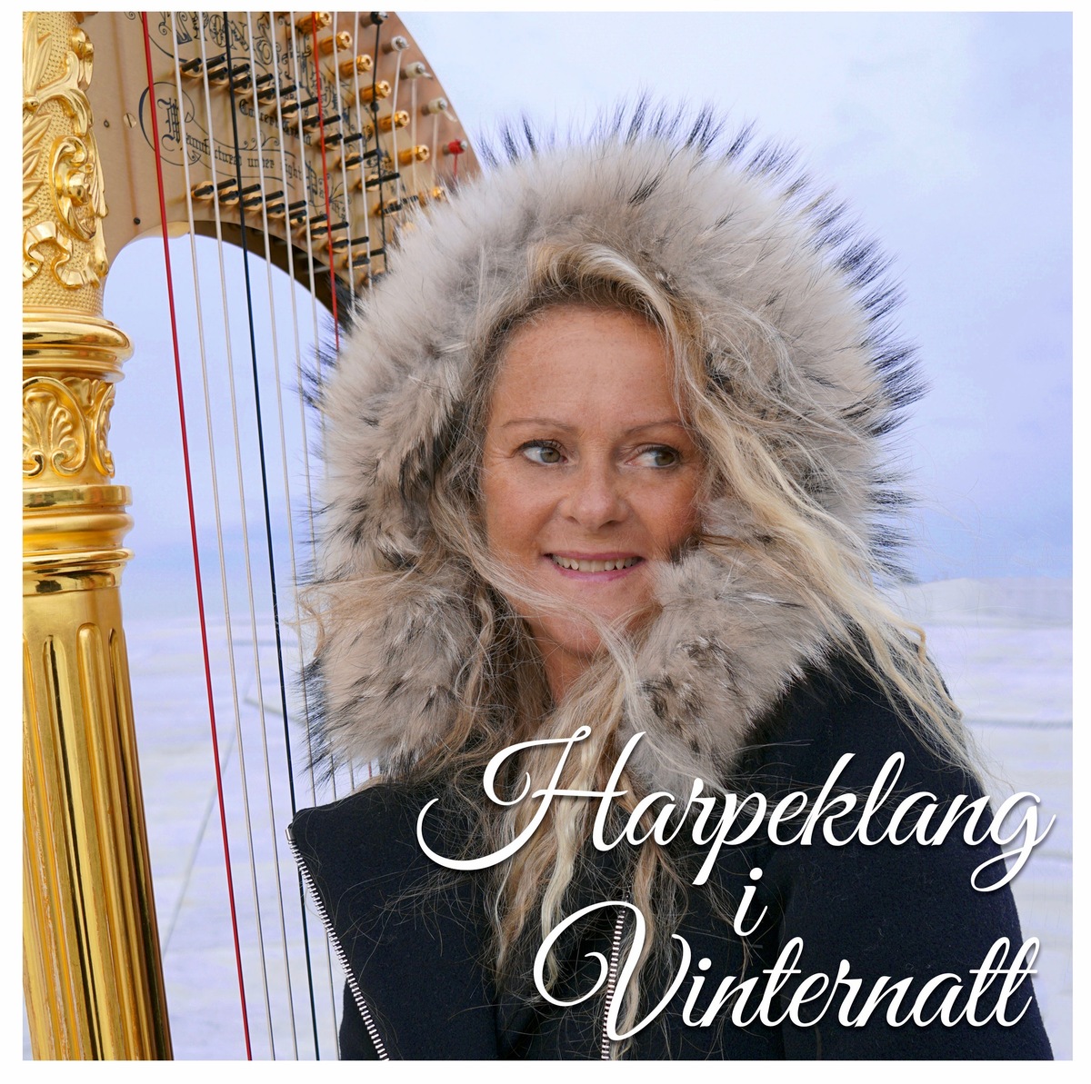 HARPEKLANG I VINTERNATT 2019 Ullern kirke