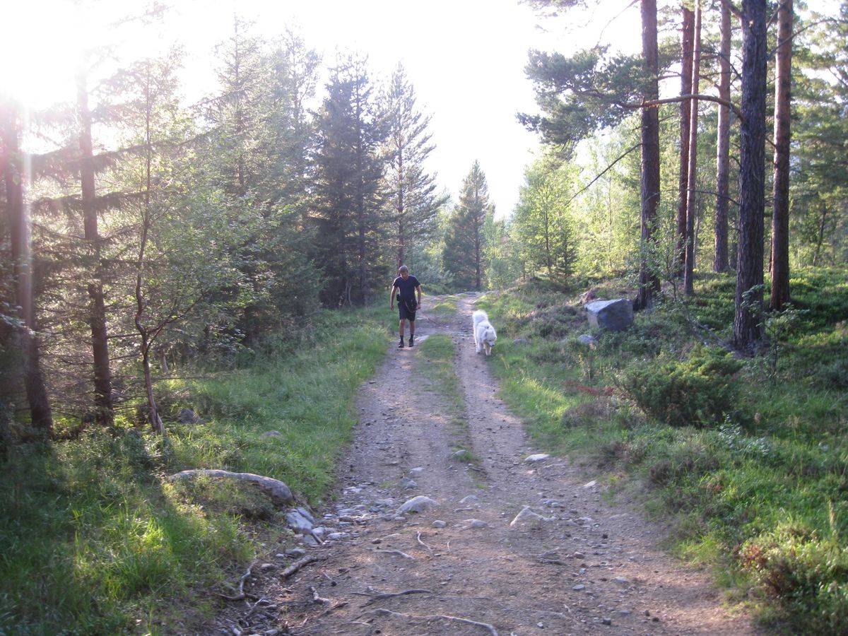 Svarthattan 980 moh. En lett og fin tur - for store og små.