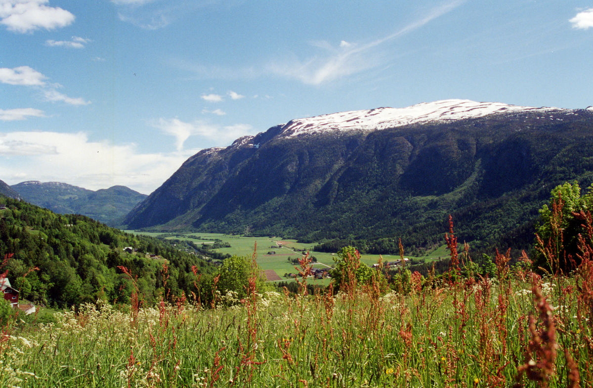 Rundtur i Rørtveitgrenda