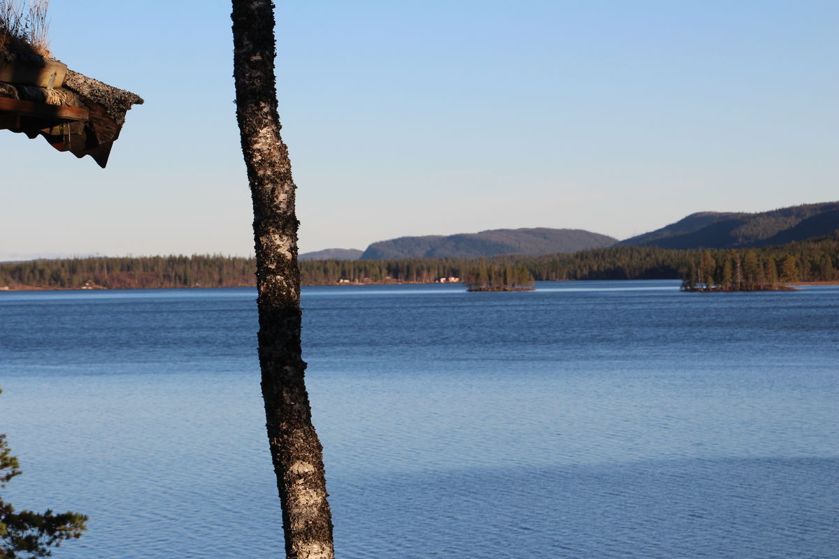 Tomtvatnet - Heggbekken - Revollen