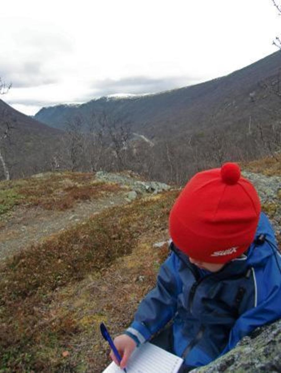 Hesthåggålia - trimpost