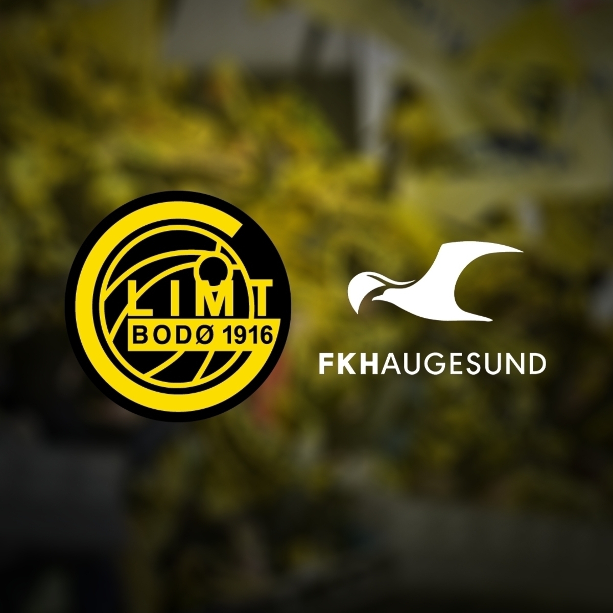 FK Bodø/Glimt Herrer - Haugesund 2024