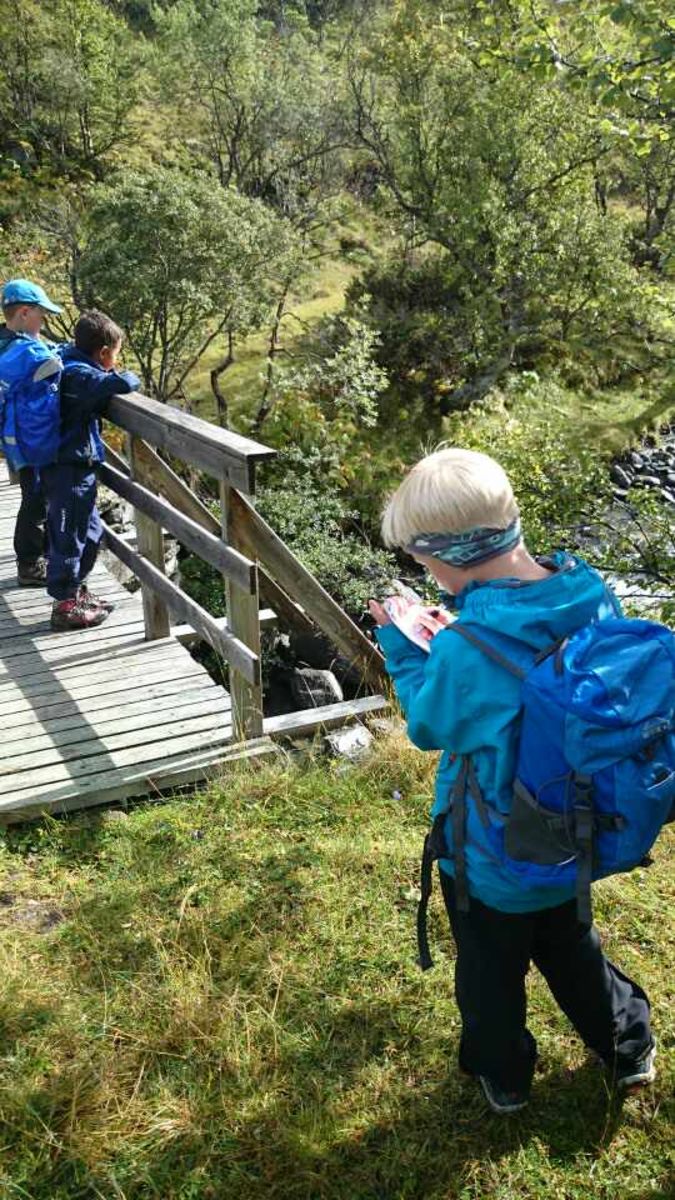 Brustølen - trimpost