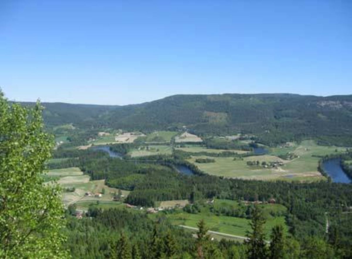 Harangen - Børjern- Høgdebøfjell