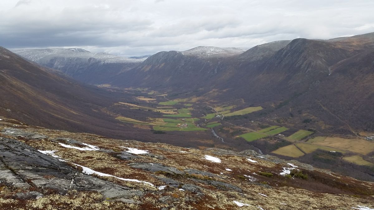 Sæterhaugen 1034 moh.