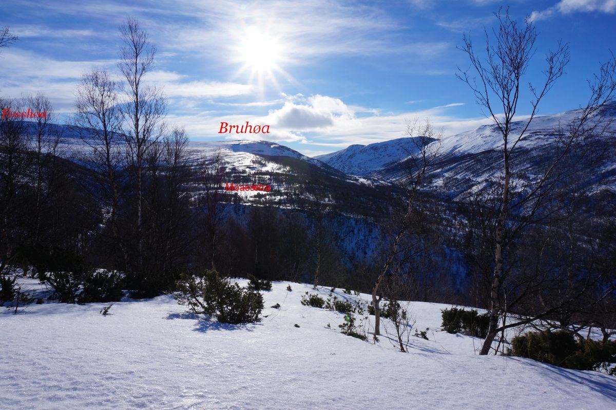 Ski tur til to Høer og en åpen bu i Vinstradalen.