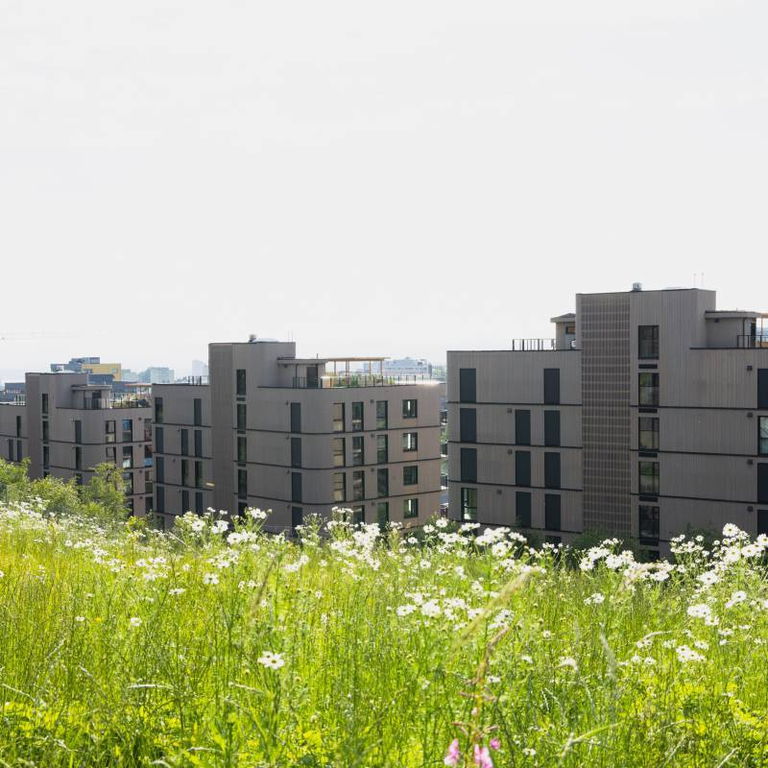 OAF Befaring: Fyrstikkbakken 14