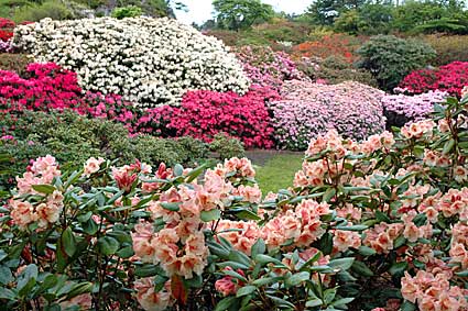 Stavanger Botaniske hage