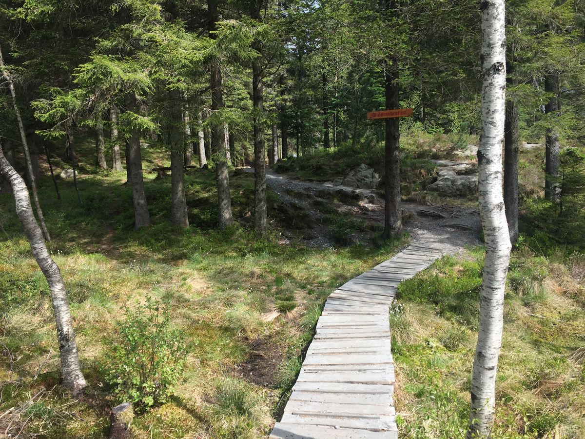 Skomakerstien – fra BT-bu til Skomakerdiket