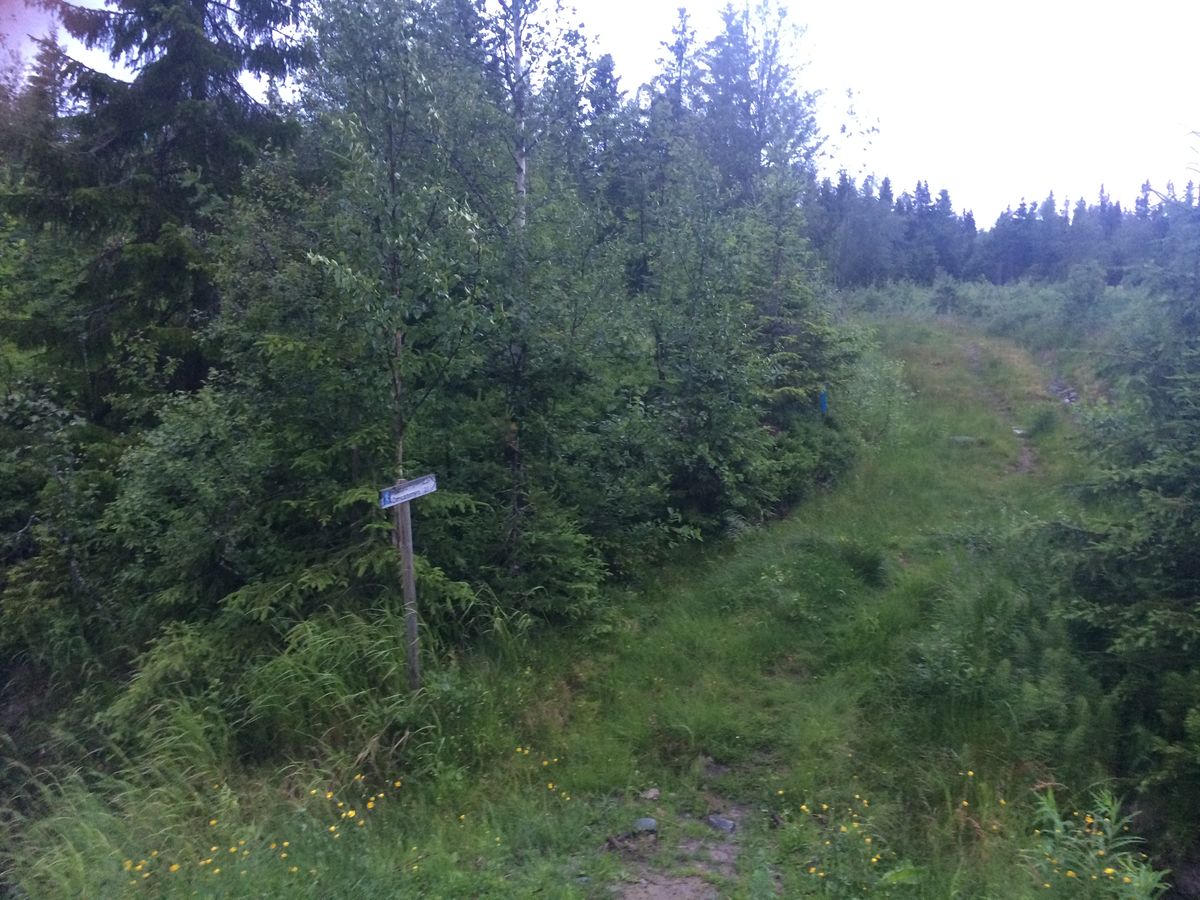 Hanggliderbana - Åsvegen