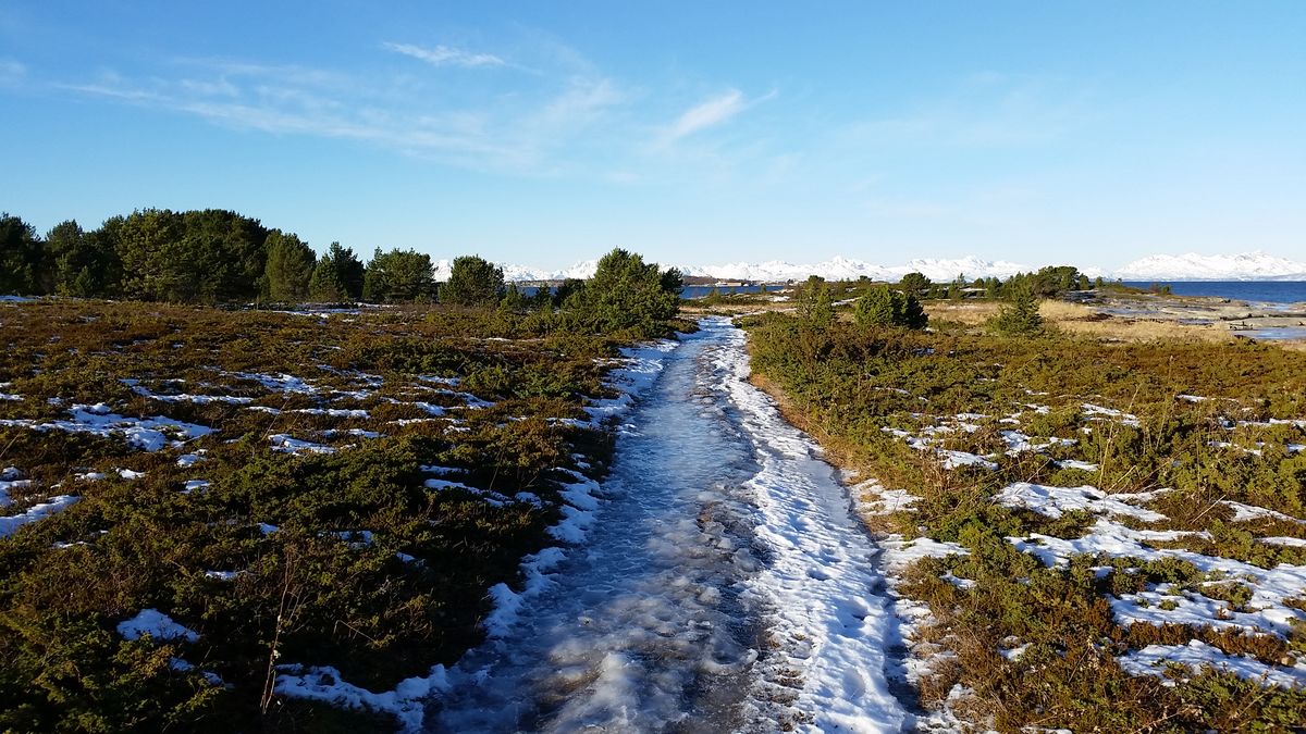 Fjæratur til Karvikhågen Sommersel