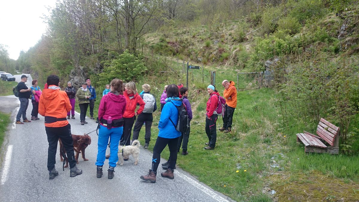 Skylefjellet frå Yndestad